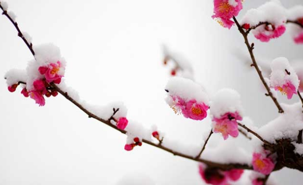 2016-2017年哪天进入数九寒天1