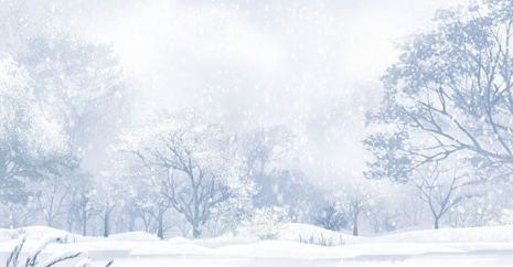 2017年三九天什么时候1