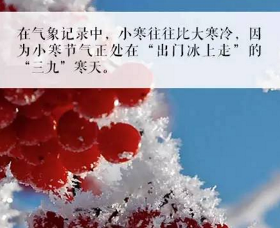 2016至2017数九日历表1