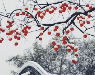 2016北京初雪最新消息1