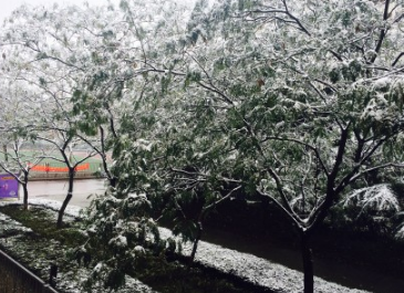 2016年11月南京下雪了1