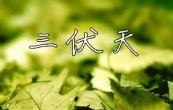 2017三伏天一共多少天1