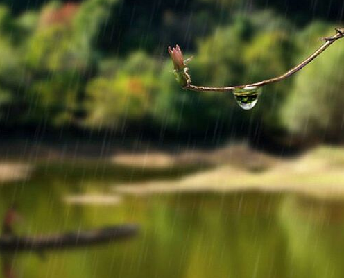 梅雨季节如何防潮防霉1