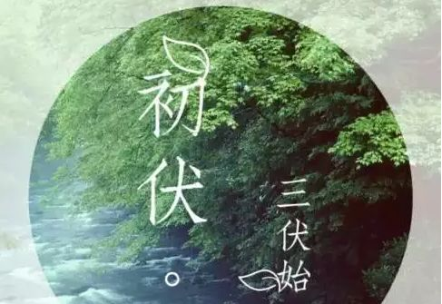 2017年三伏天是什么时候1