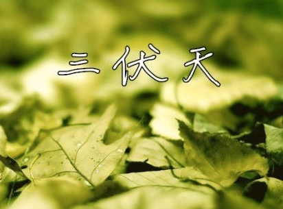 2017年三伏天时间1