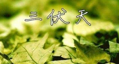 2017年头伏是哪天1