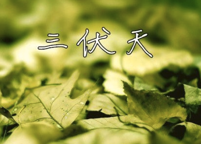 2017头伏是哪天1