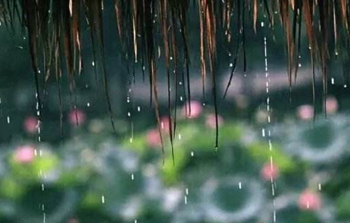 2017年什么时候入梅1