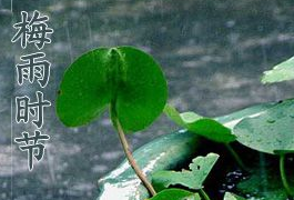 2017年入梅出梅时间是什么时候1