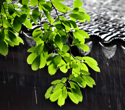 2017年入梅是什么时候1