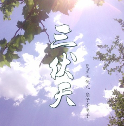 2017年什么时候是三伏天1