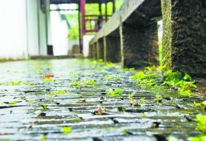 2017入梅时间是什么时候1