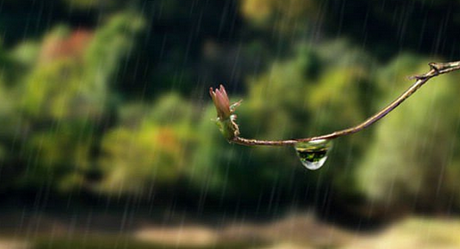 2017江南梅雨季节是什么时候1