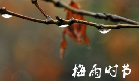 2017年入梅和出梅时间是什么时候1