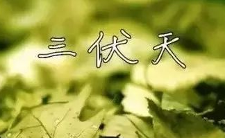 2017入伏和出伏各是什么时候1