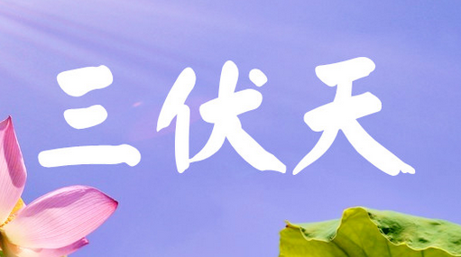 2017年三伏天灸时间1