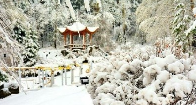 2017年5月黑龙江下雪最新消息1