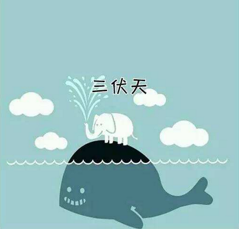 2017什么时间入伏1