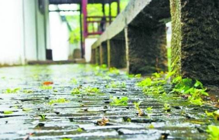 2017入梅出梅时间一览1