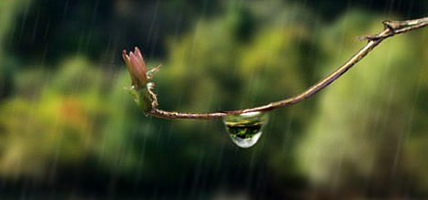 2017年几号入梅开始1