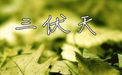2017年三伏天在什么时候1