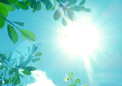 2017年三伏天有几天1