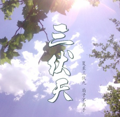 2017年的三伏天时间表1