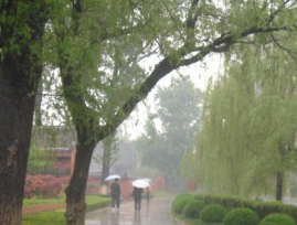 2017年梅雨多少天1