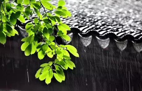 2017年出梅是几月几号1