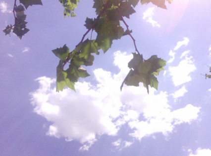 2017年三伏天怎么算1