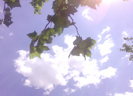 2017年三伏天有多久1