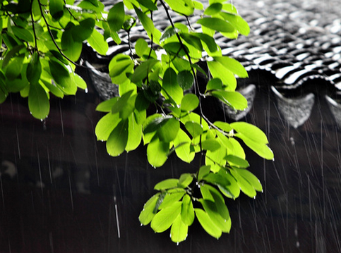 2017年梅雨季节时间是几月份1