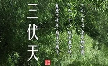 2017年头伏哪天1