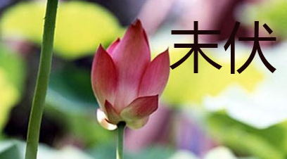 2017年末伏是哪天几点1