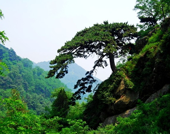 2015年五一泰山旅游攻略
