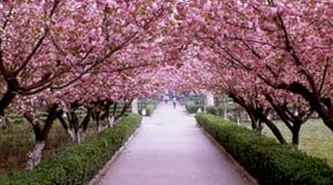 五一适合去哪儿旅游